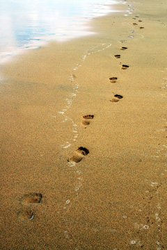 footprints in the sand