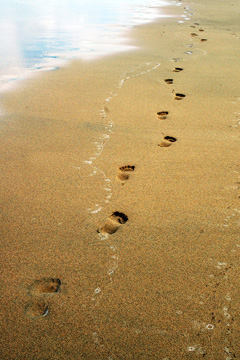 footprints in the sand